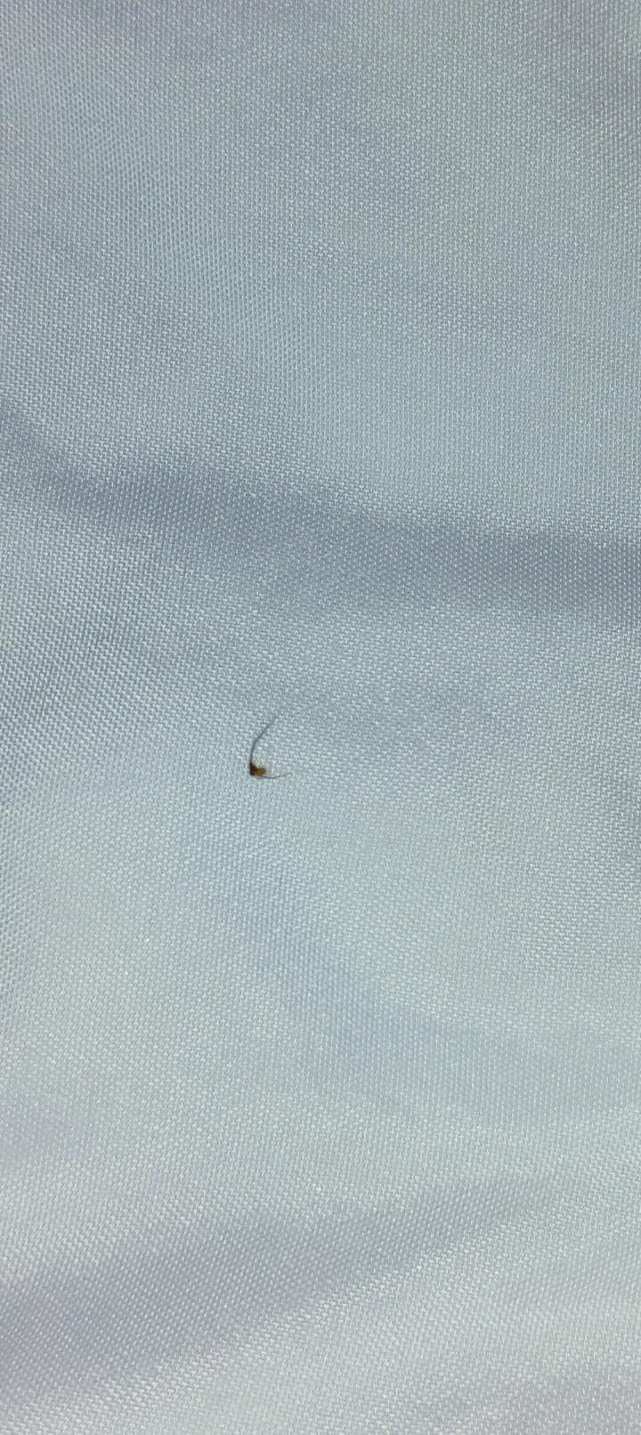 Something gross undercovers