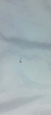 Something gross undercovers