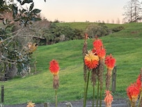 Lovely garden.