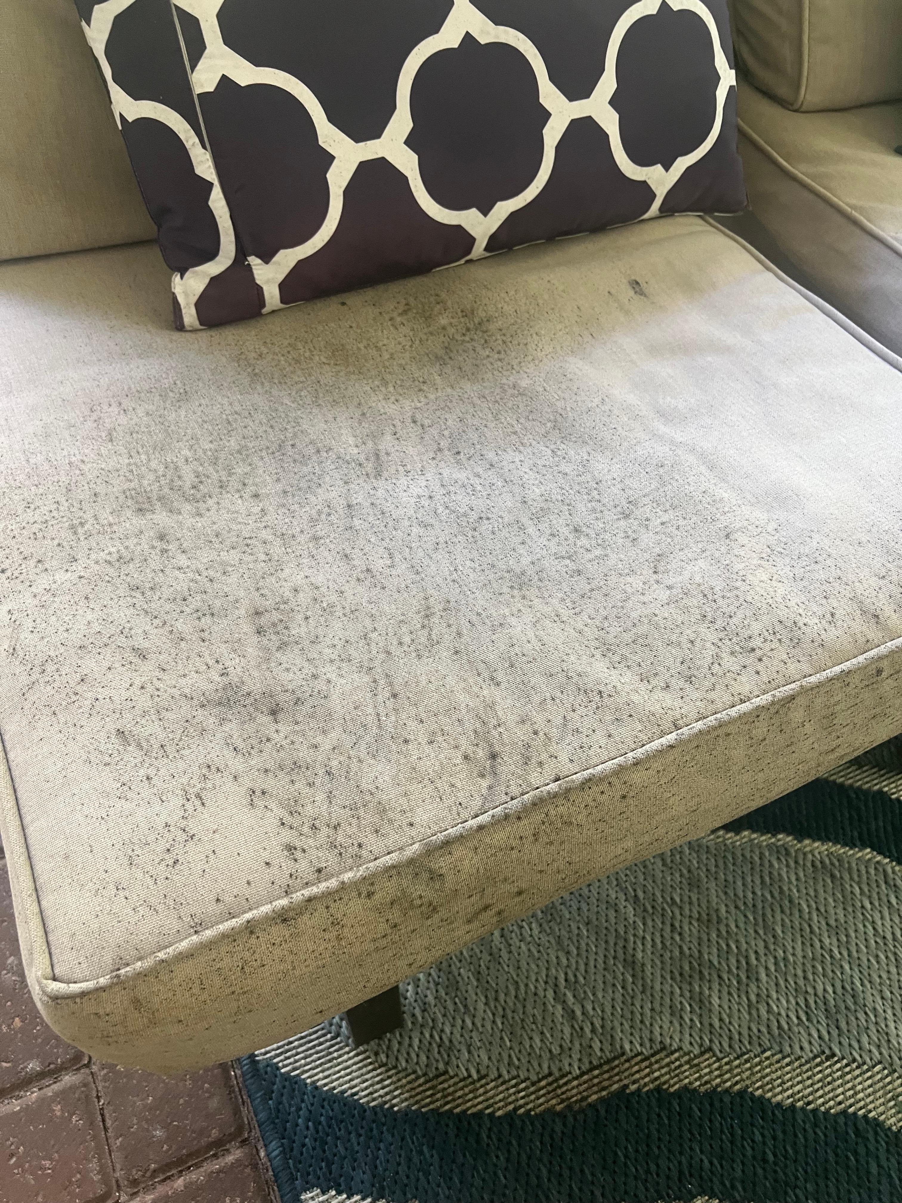 Outdoor cushions