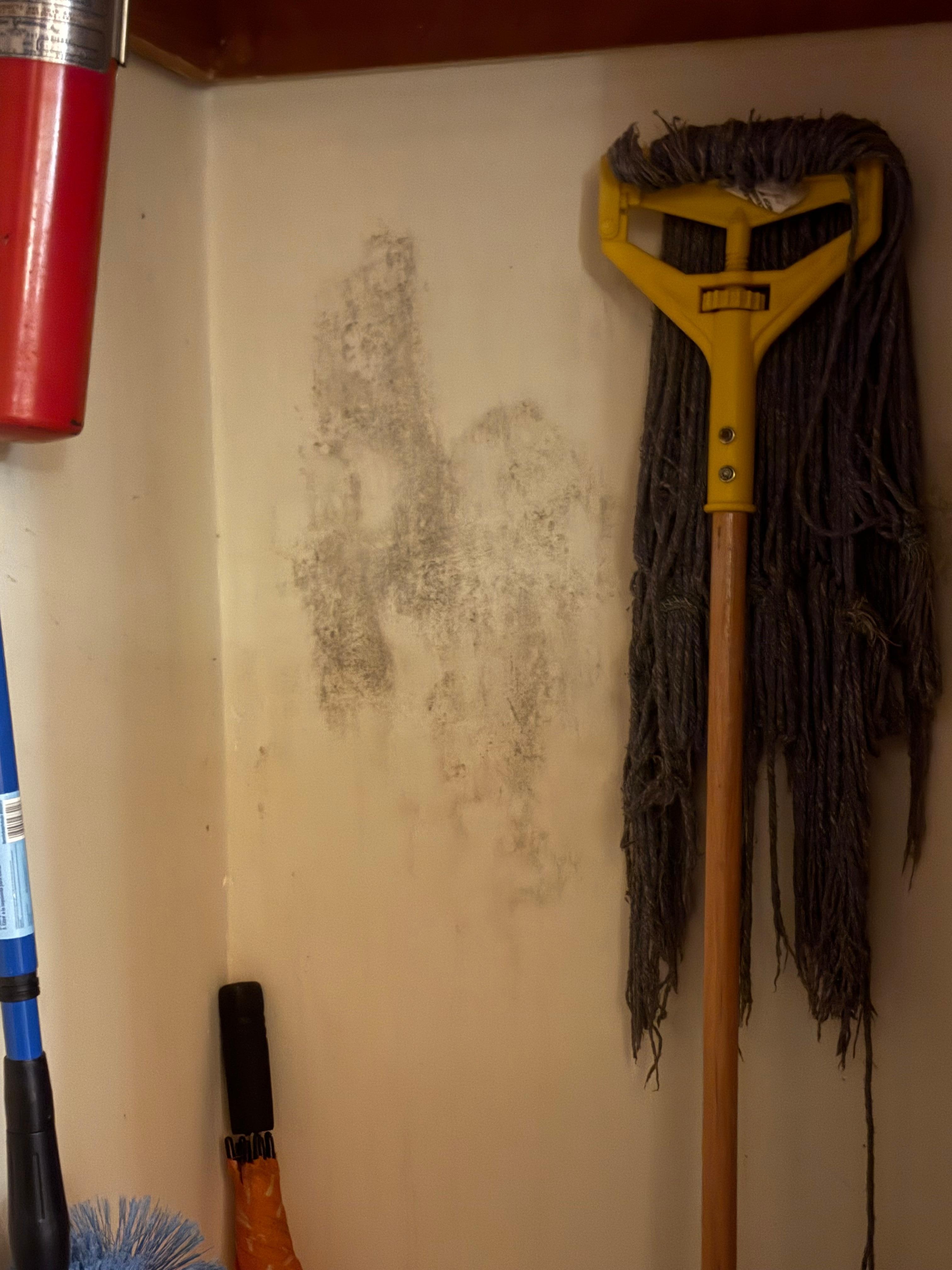 Mold, she said it’s a stain. There’s a shower directly behind this closet.