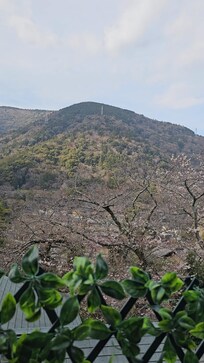 View from private onsen