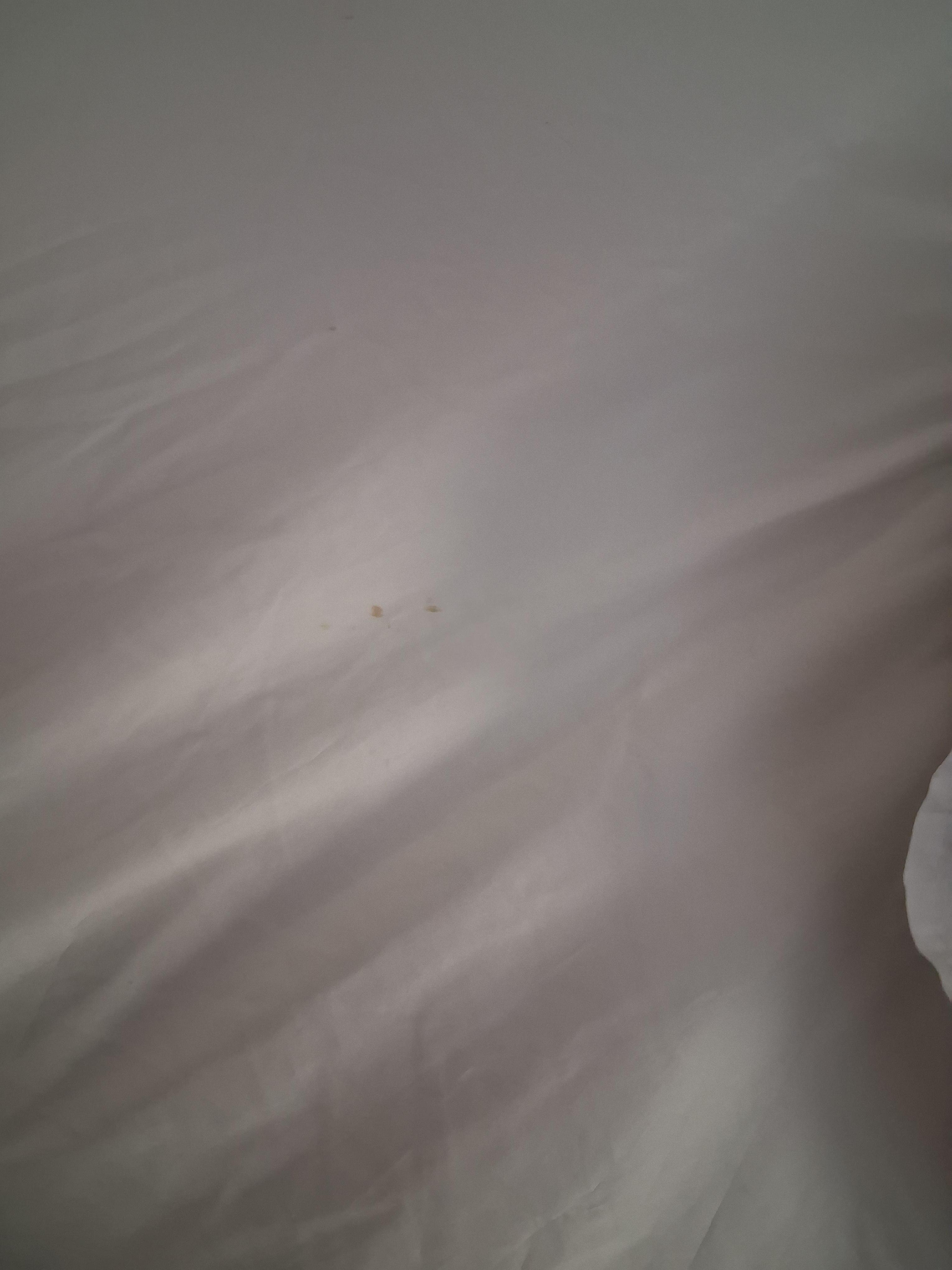 Makeup? Bedbugs? Not sure.