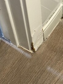 Nasty baseboards