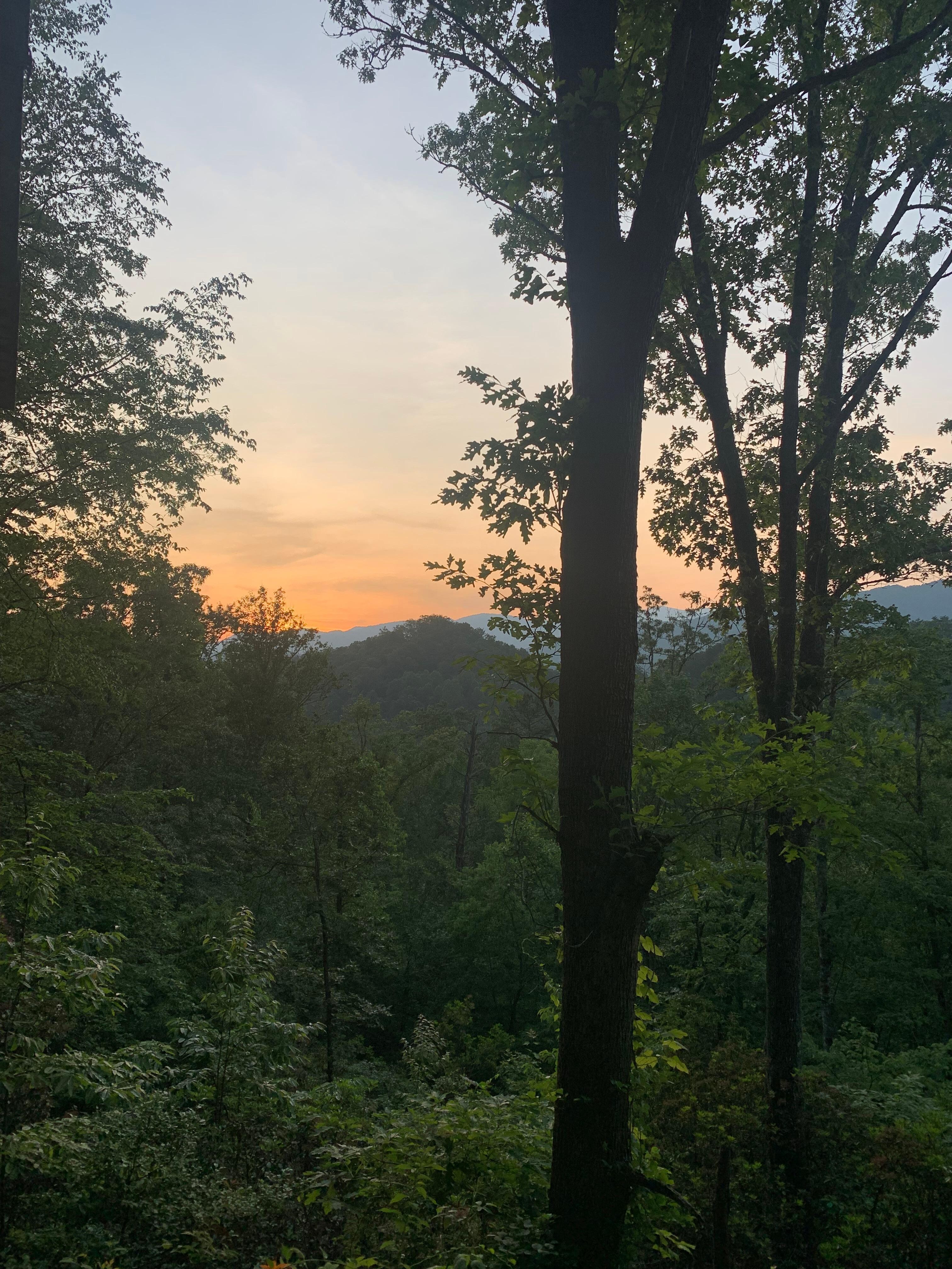 Beautiful view 