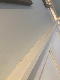 Bugs on kitchen molding