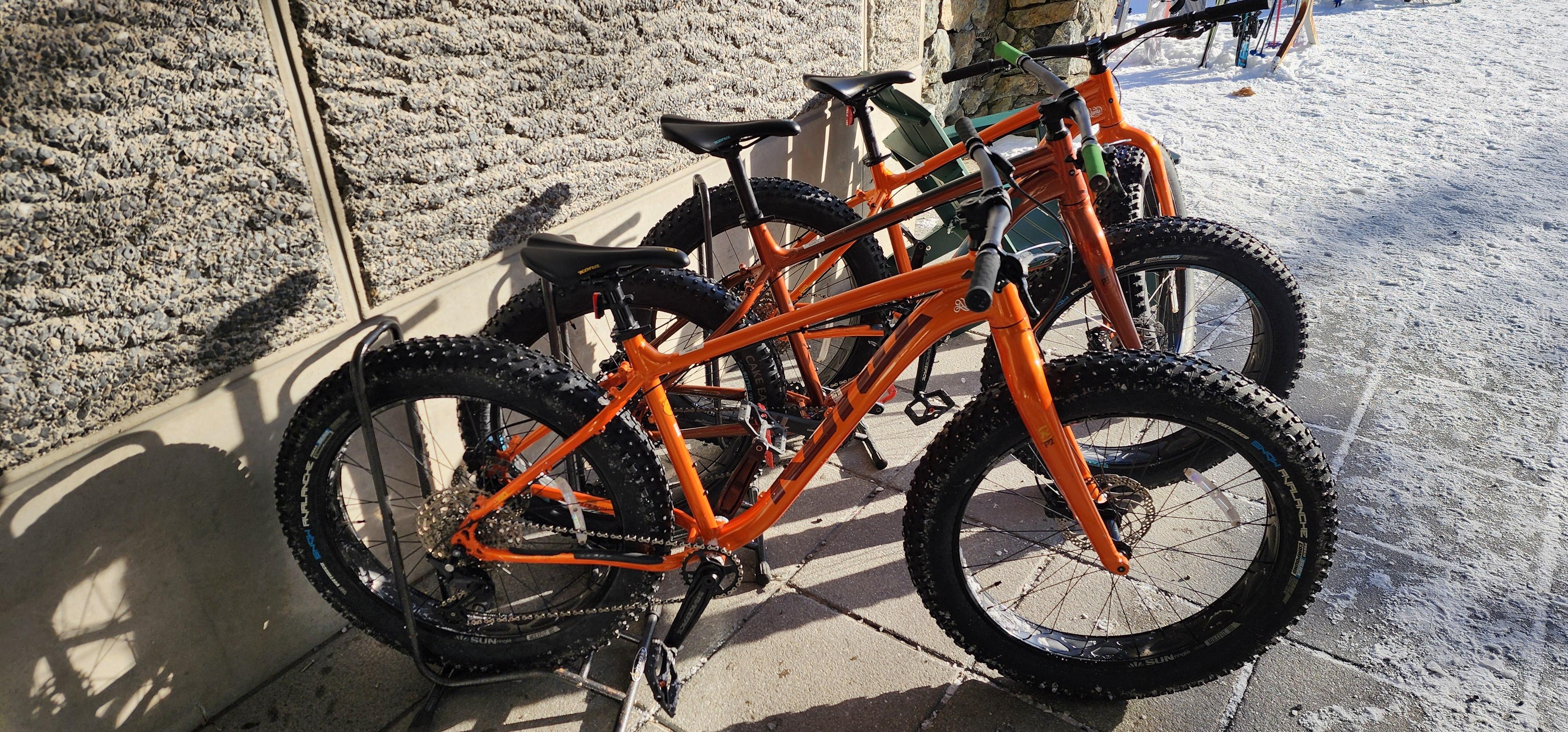 Good choice in rental bikes.