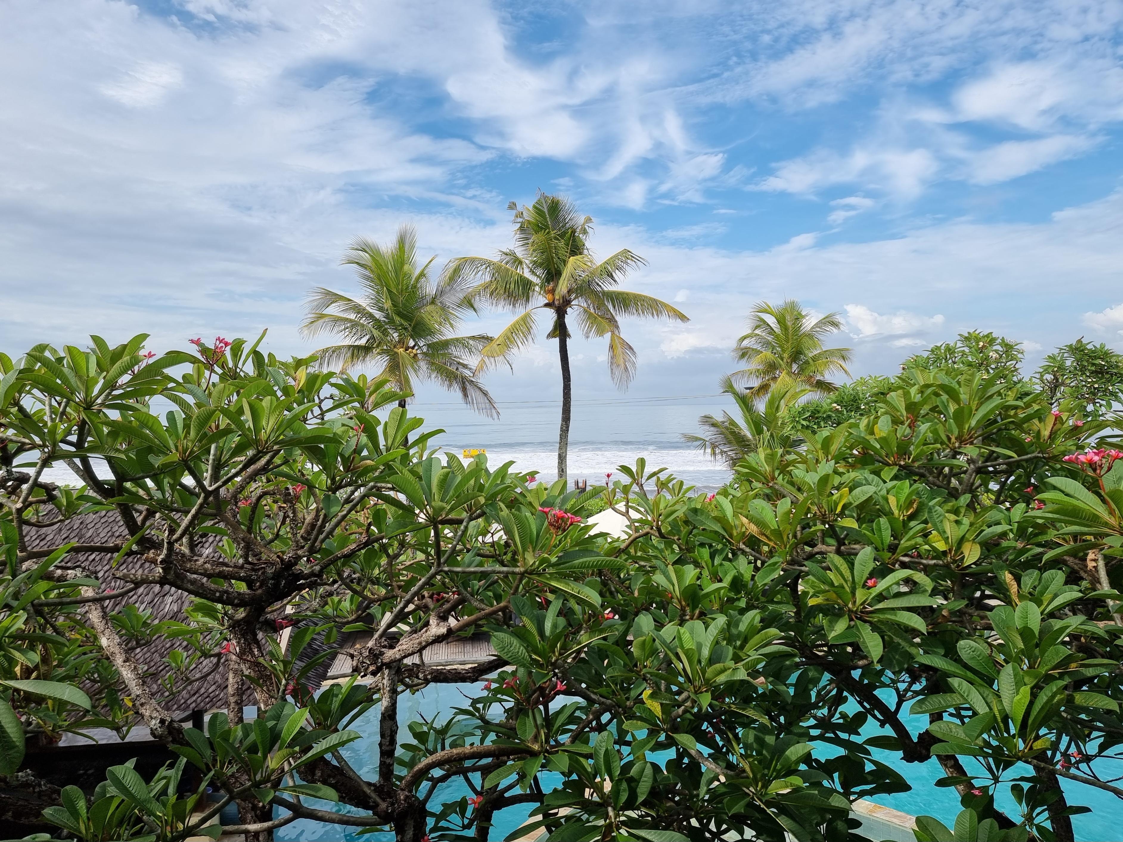 Blick vom Restaurant