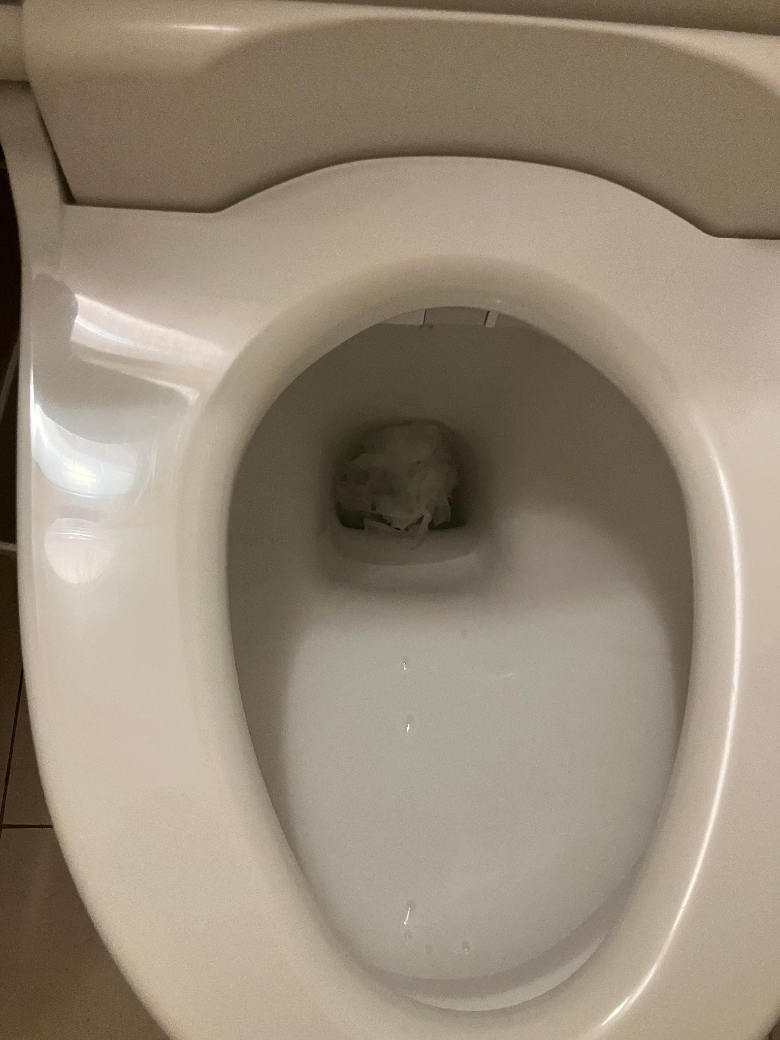 部屋に入って最初にトイレを開けた際