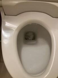 部屋に入って最初にトイレを開けた際