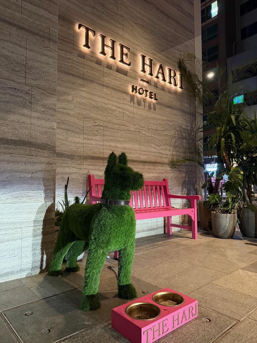 Doggie waiting for guest outside