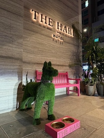 Doggie waiting for guest outside