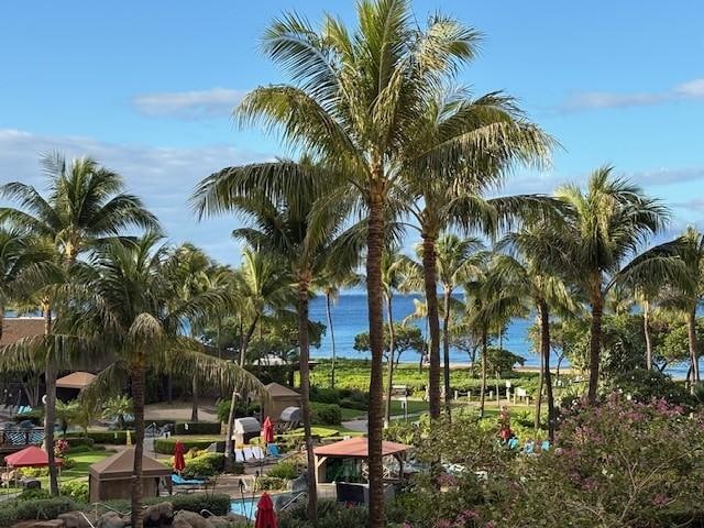 view from lanai day time