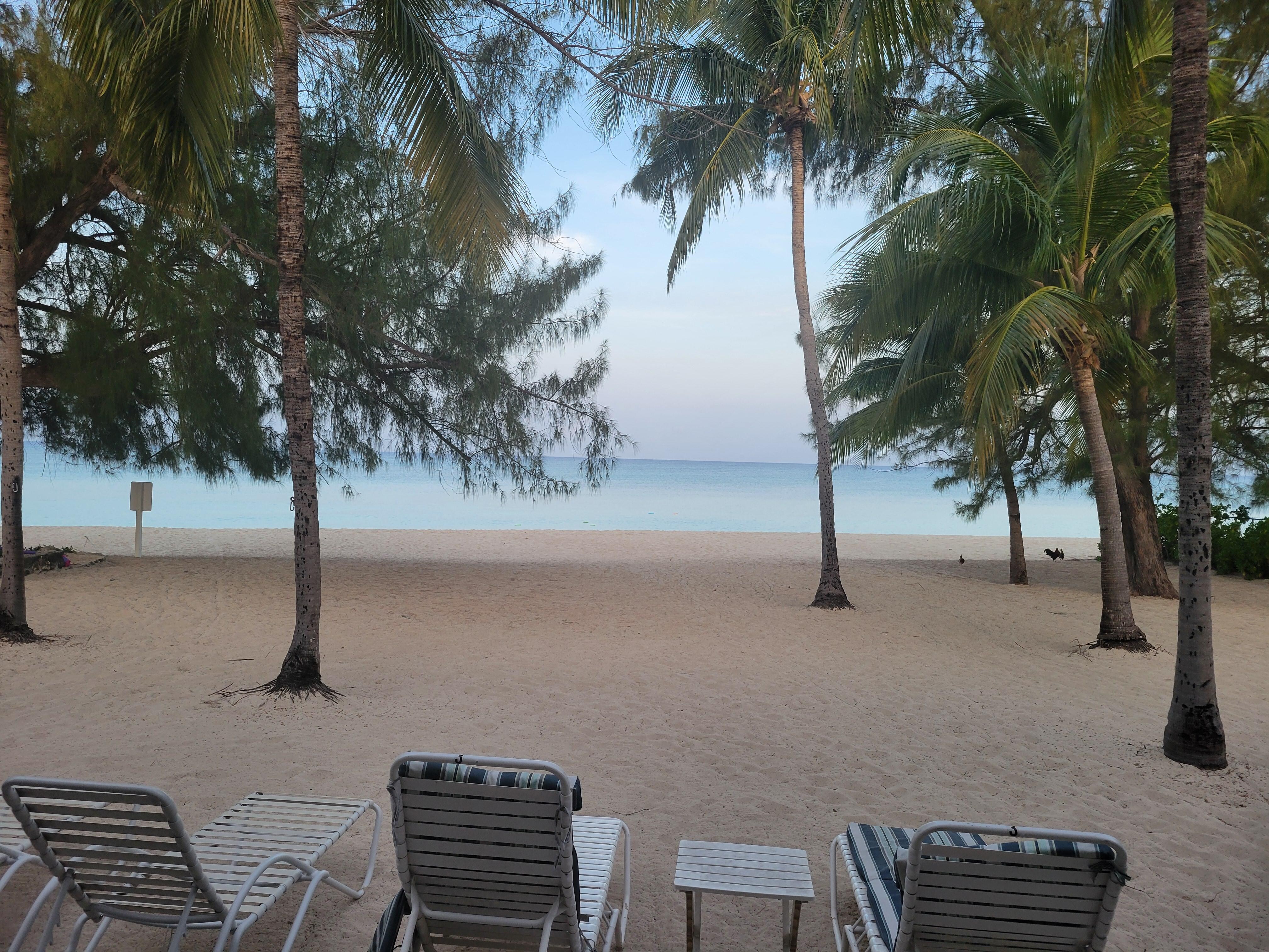 View from the patio