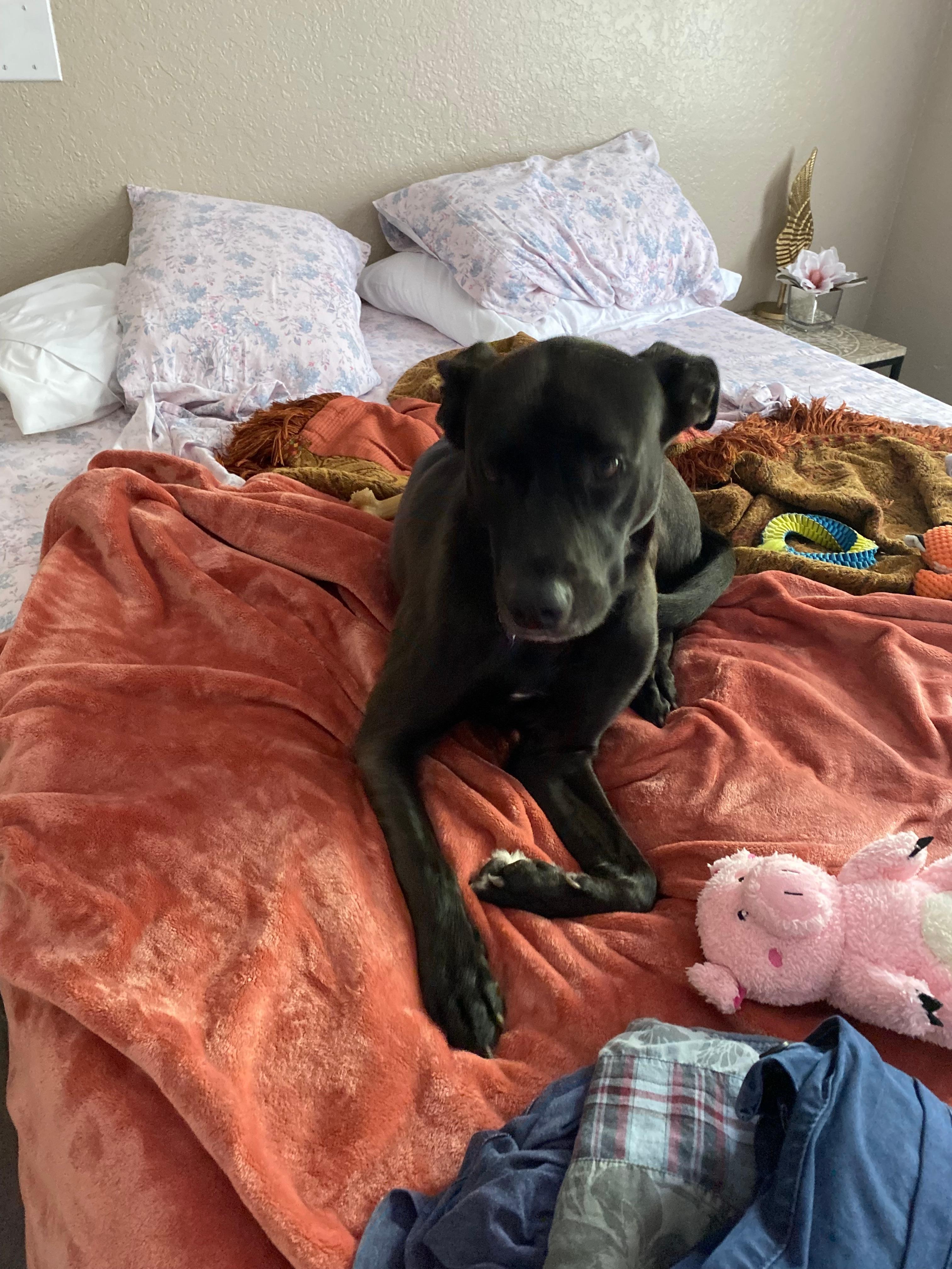 And little girl, baby  zinnia likes her stay