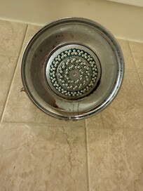 Shower have mold