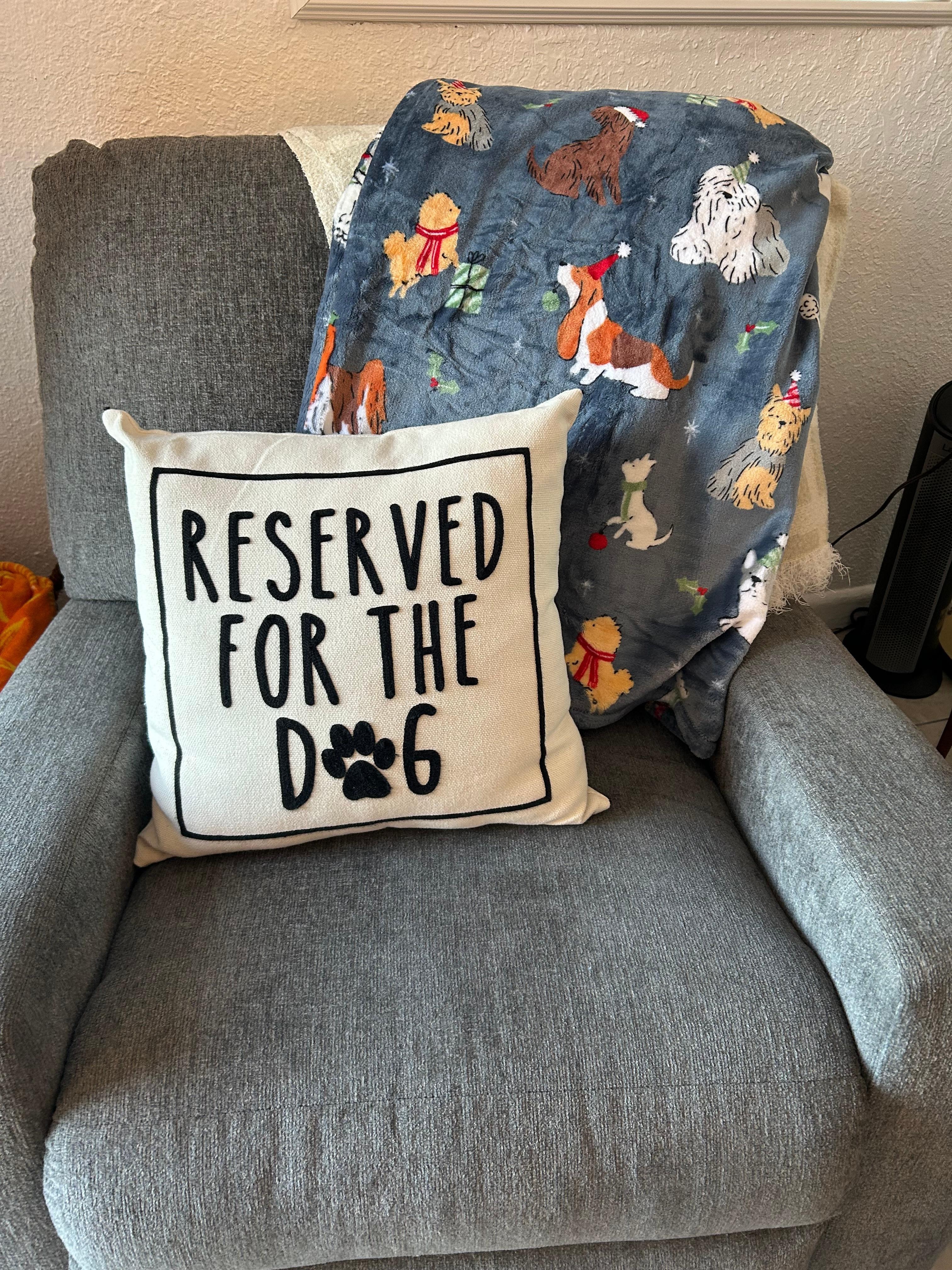 Adorable decor and comfortable furniture