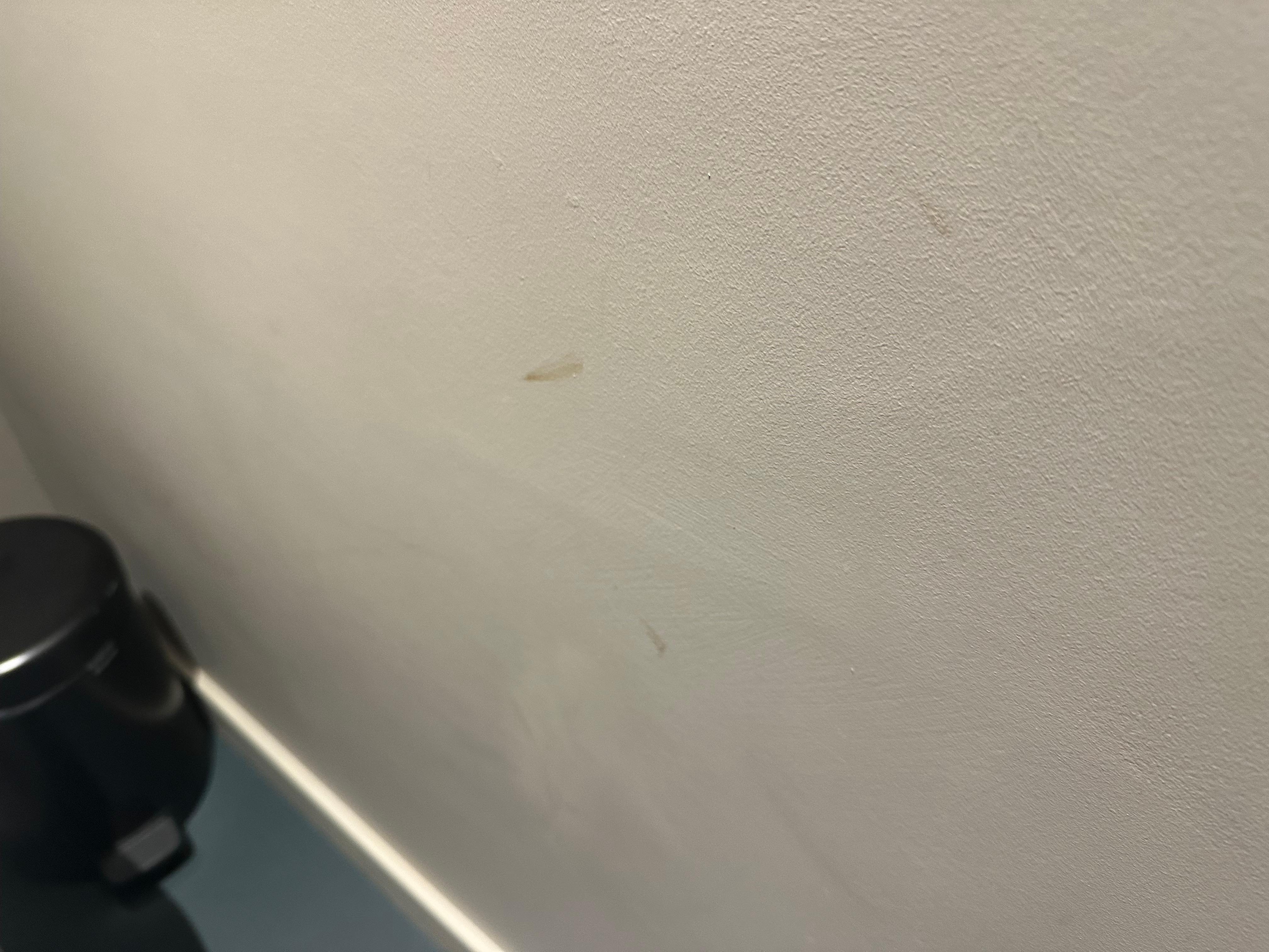 Brown stains on walls in the toilet