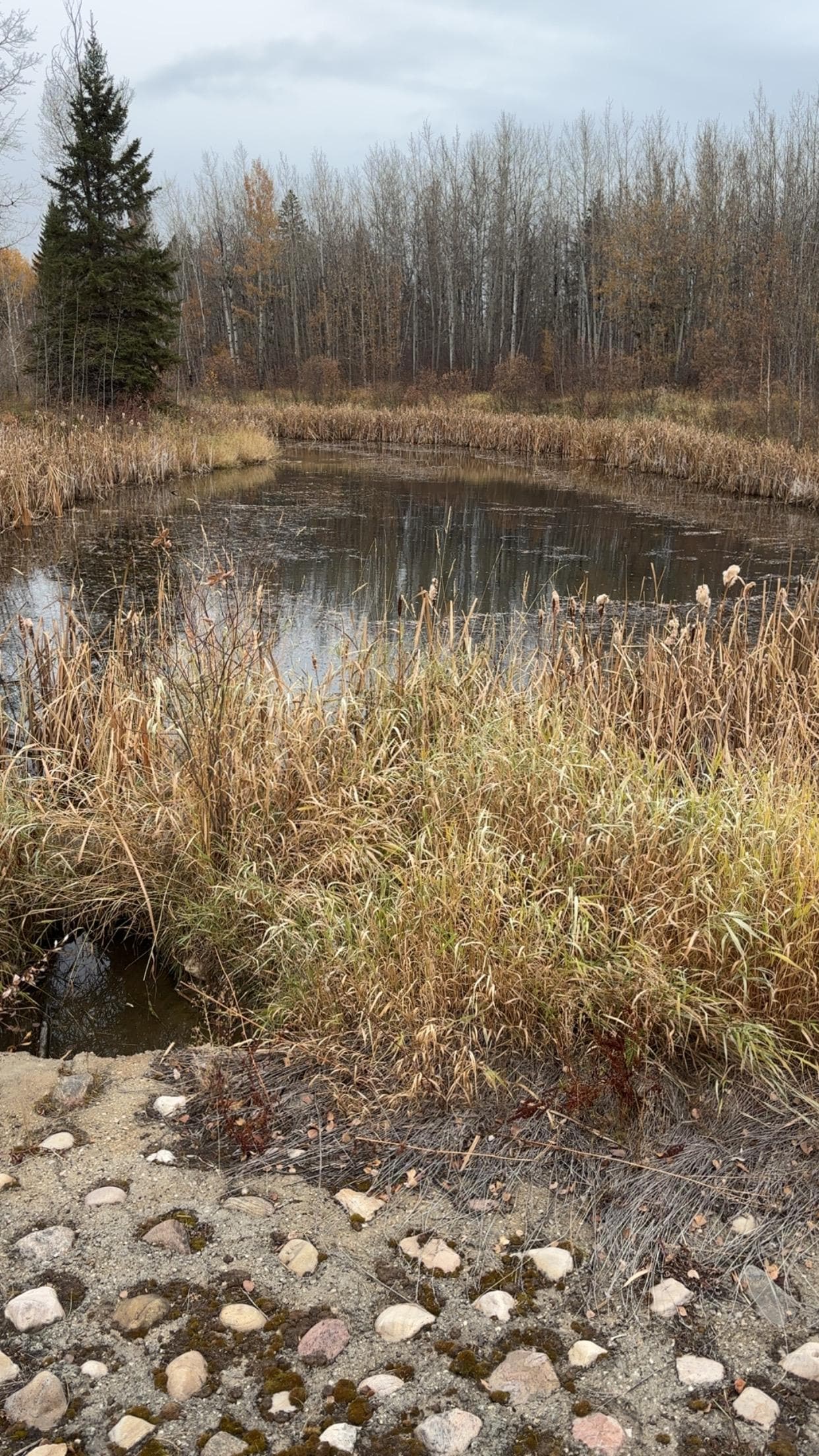 A little hike to explore!