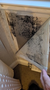 Wallpaper was peeling because of the extensive black mold growing under it.