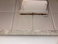 Filthy soap dish bottom (saw while having a bath)