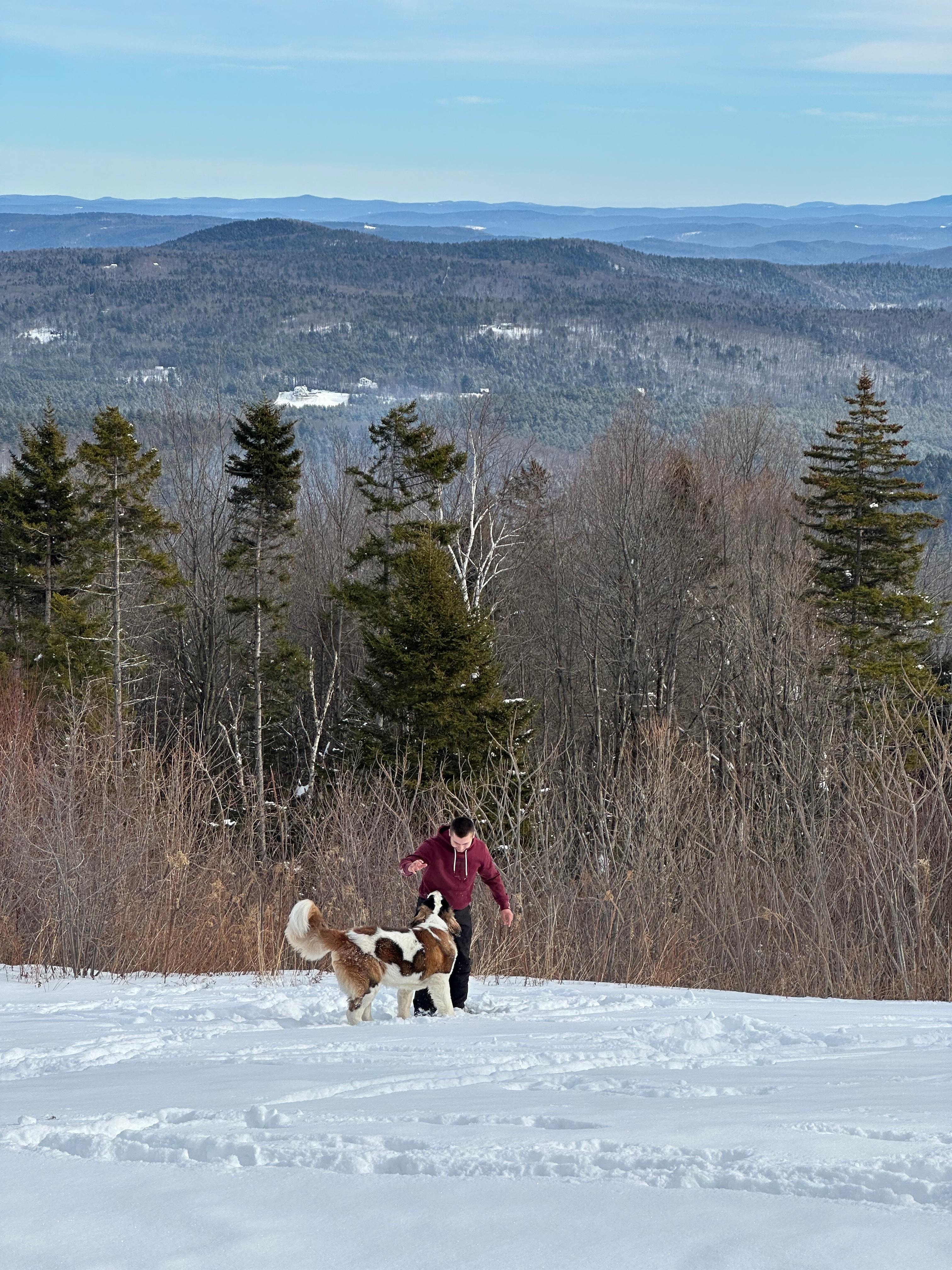 Outside playing in back yard