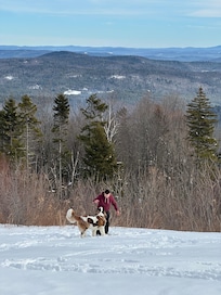 Outside playing in back yard