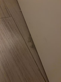 Dust under the doors