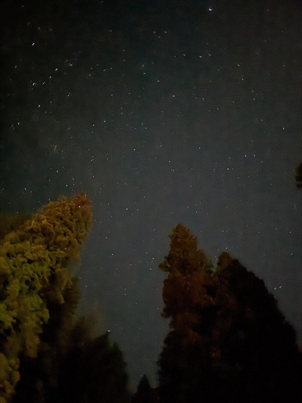 From outside the property