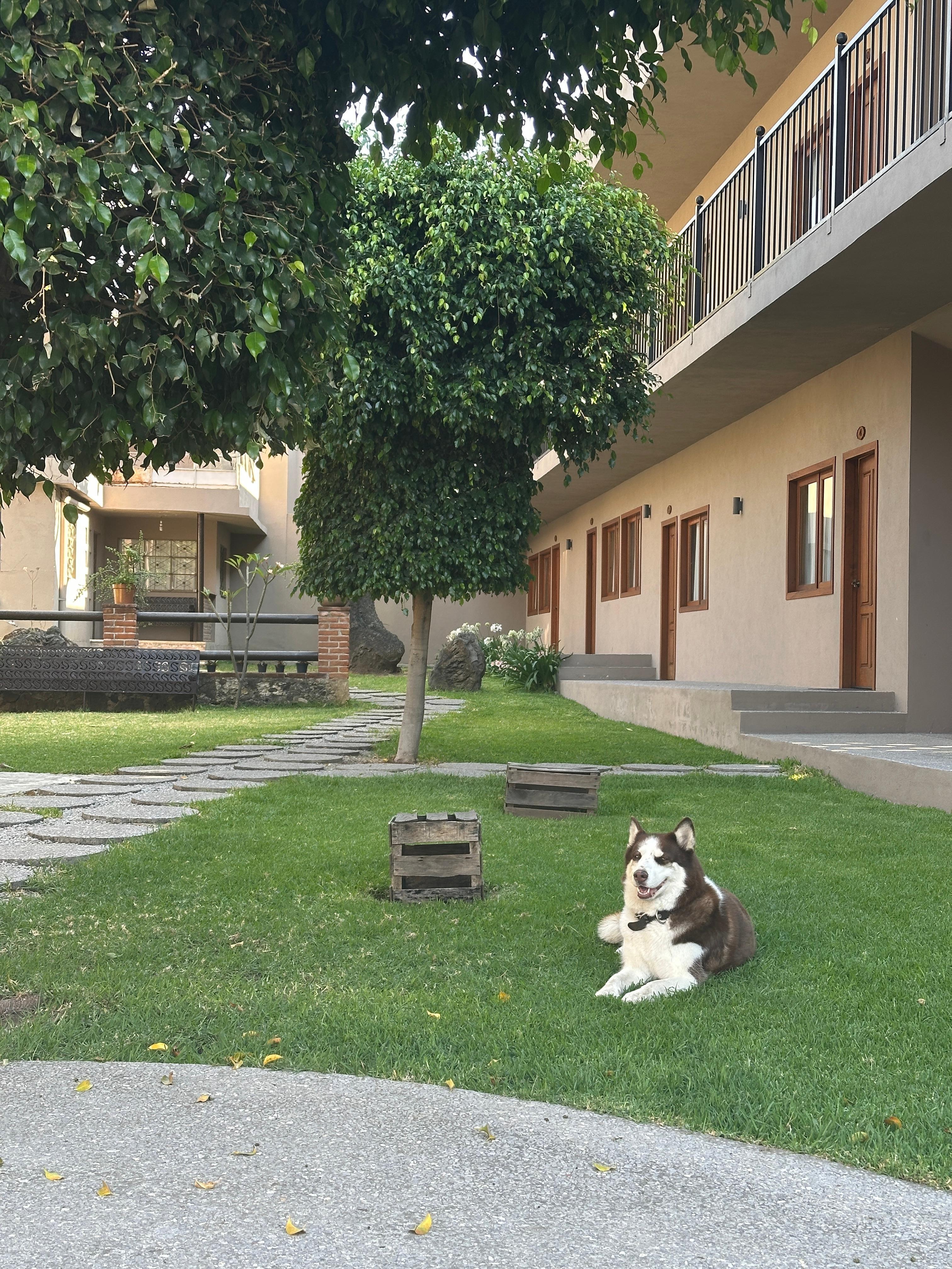 The sweetest perro hija