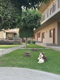 The sweetest perro hija