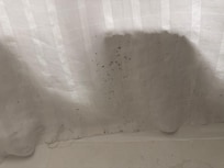 Mold on the shower curtain