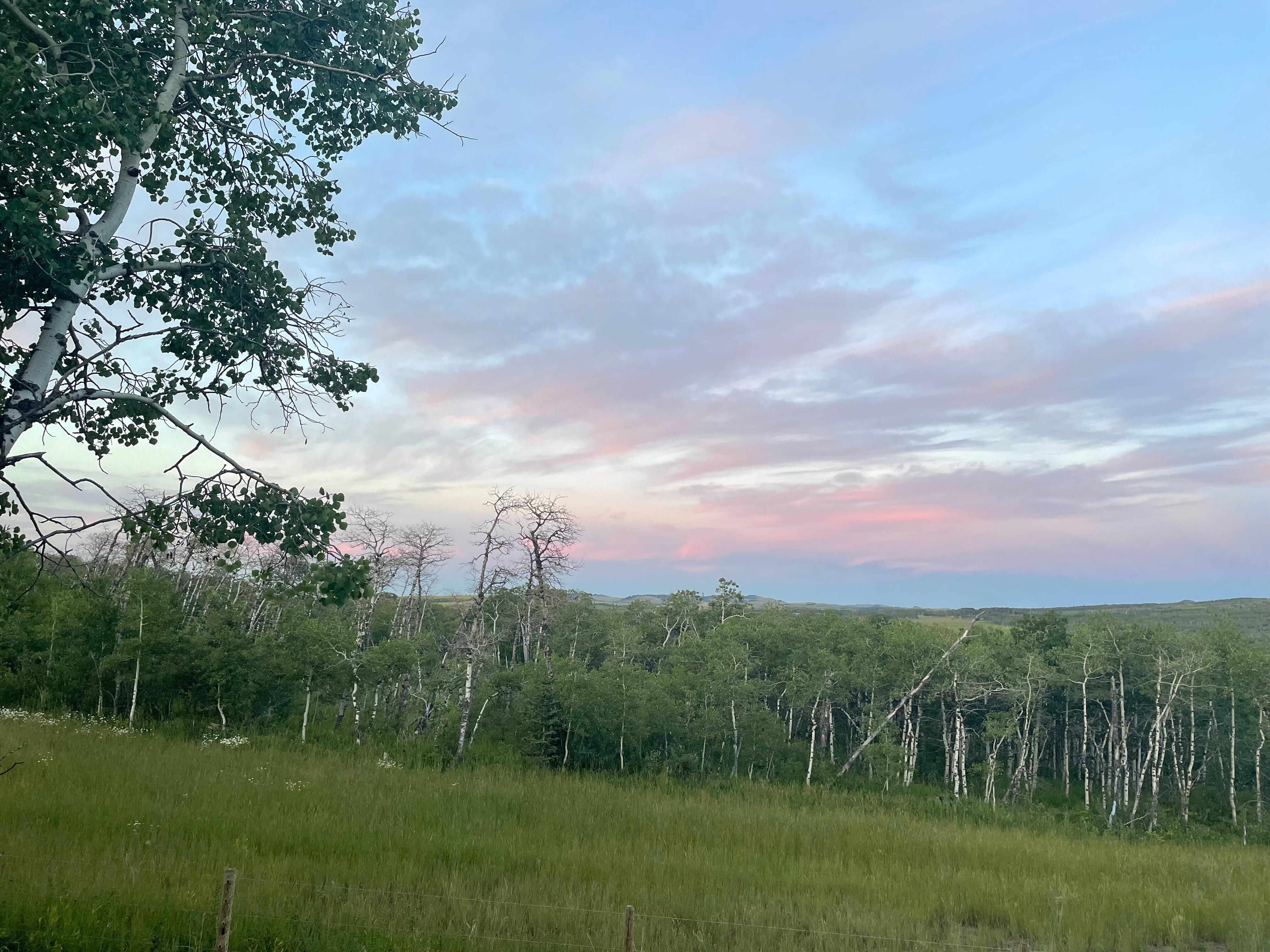View from the cabin deck. 