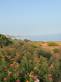 In der Anlage kann man unglaublich Spaziergänge in der Natur am Meer machen.