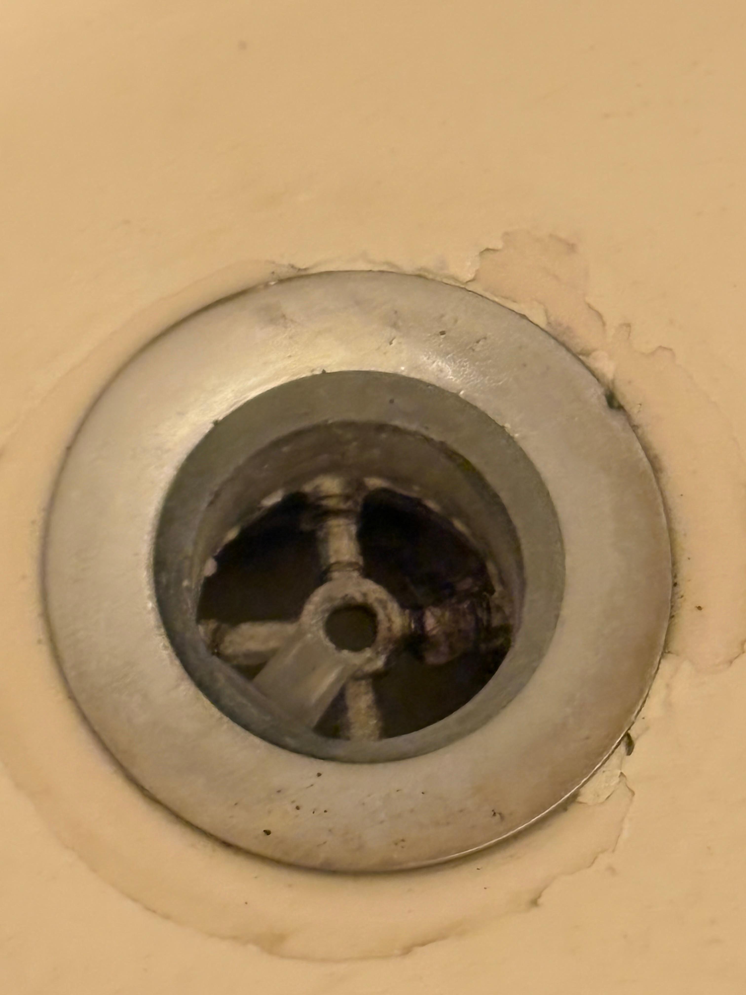 Black hair in the drain.