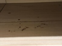 Bathroom floor