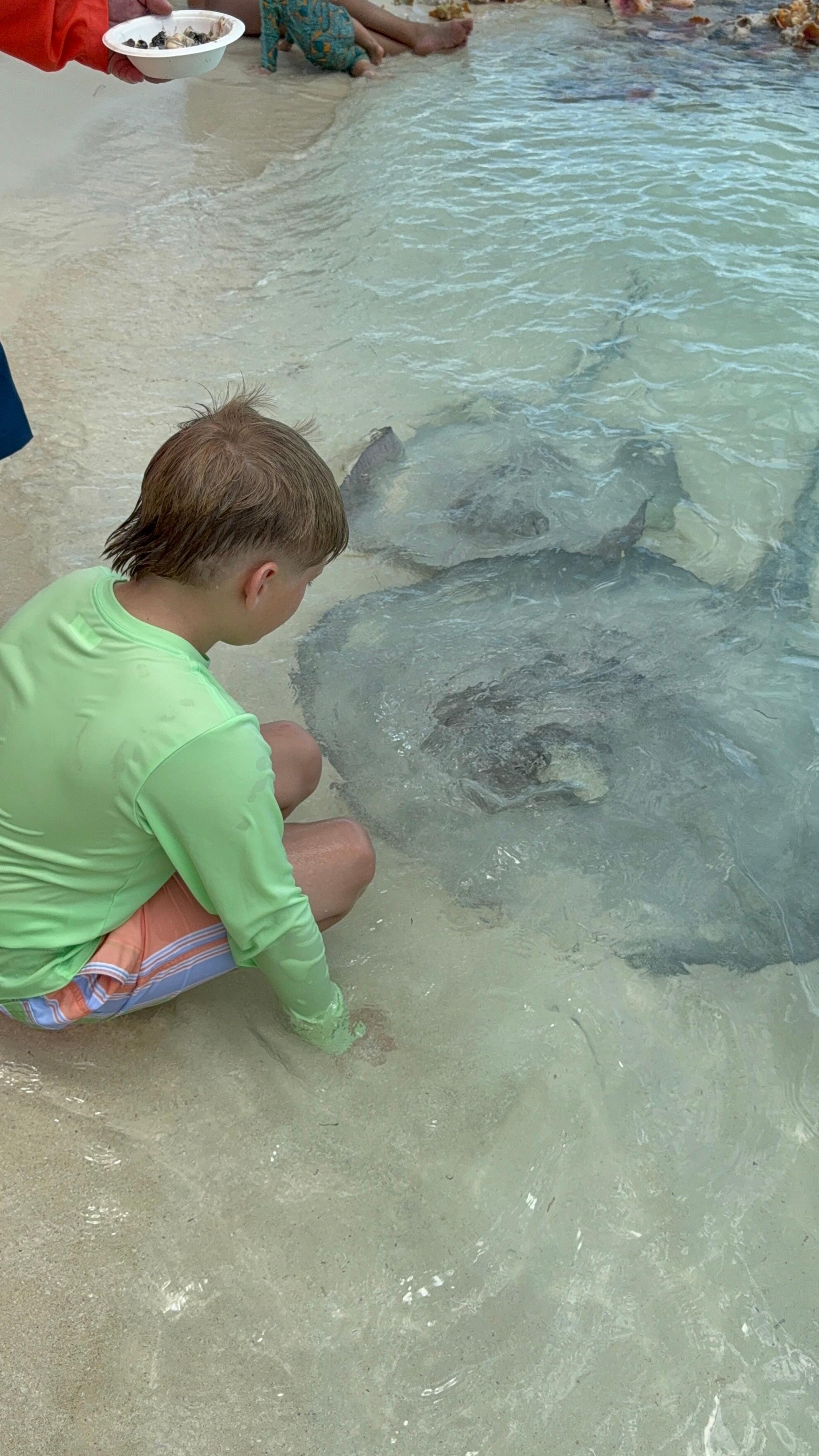 The stingrays at Chat N Chill were so fun!