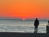 Just a few minutes up the road, take the Elvis Presley Follow That Dream Parkway to a glorious sunset. He made a movie there and while filming stayed on Kings Bay in Crystal River.