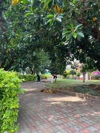 Nice and big backyard