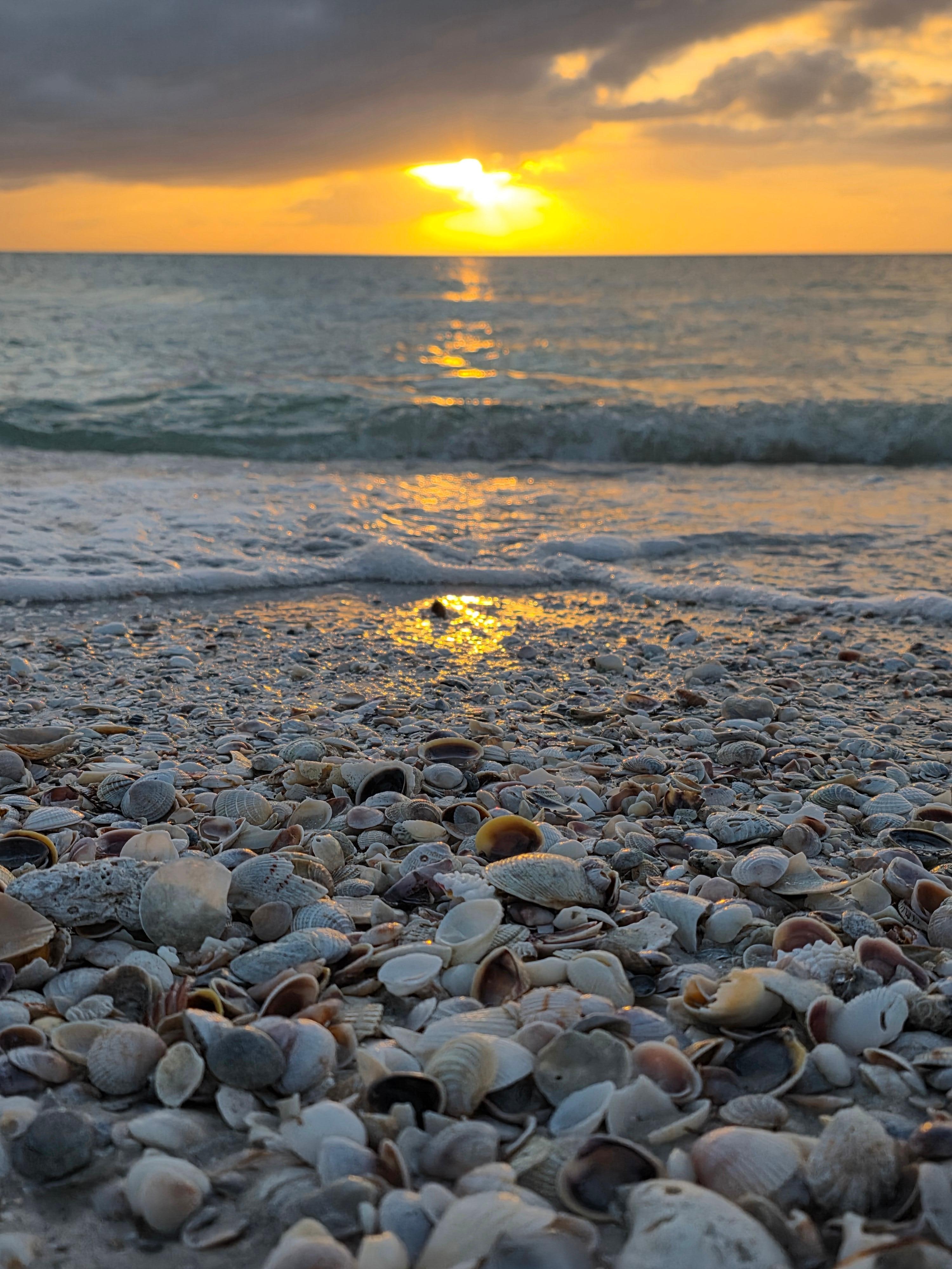 Sunset @ Pass-a-Grille beach (just a few minute drive from the unit). We found alot of beautiful shells! 