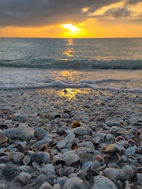 Sunset @ Pass-a-Grille beach (just a few minute drive from the unit). We found alot of beautiful shells!