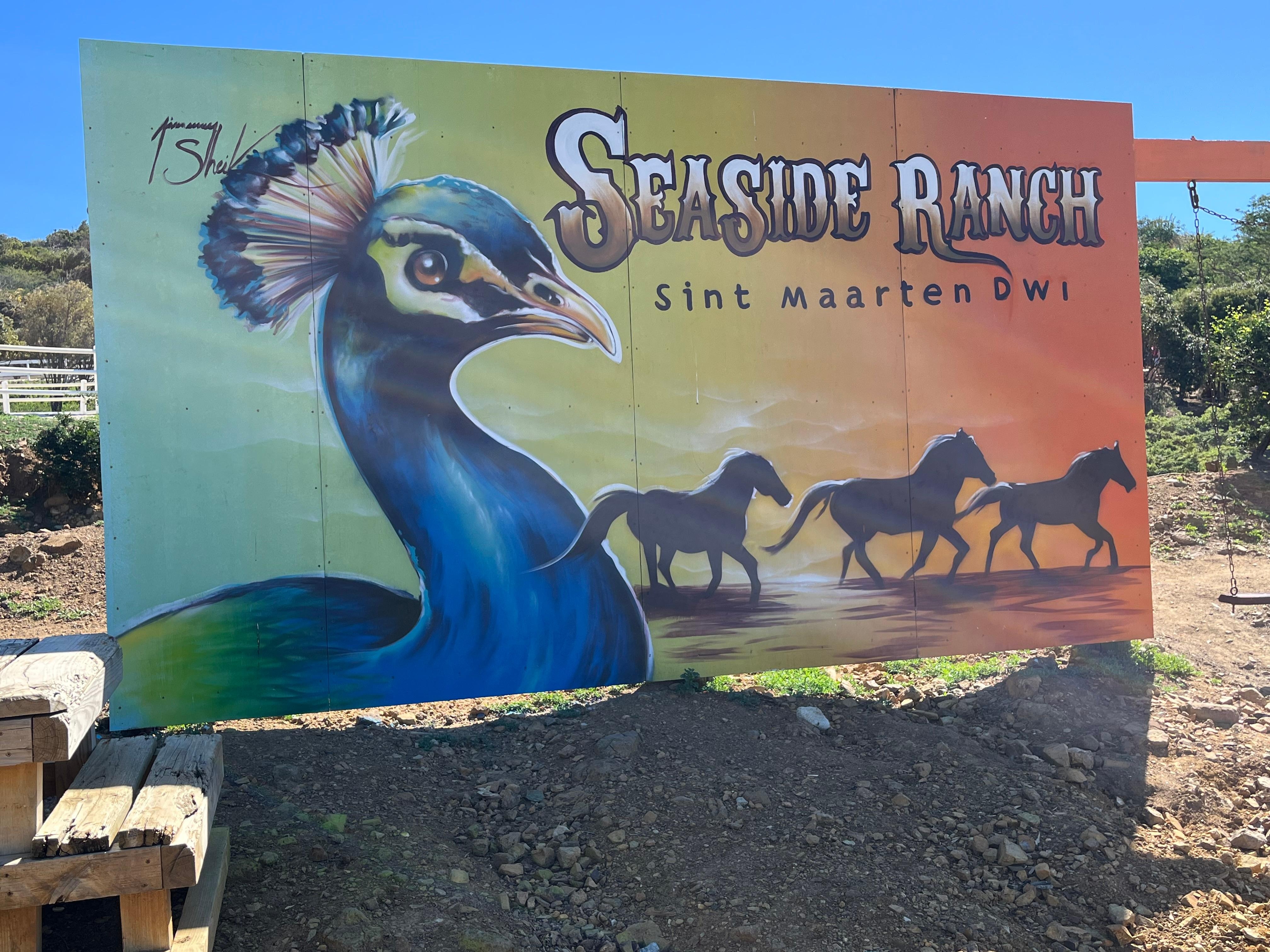 Great horse back riding adventures