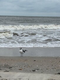 Our first day on Beach