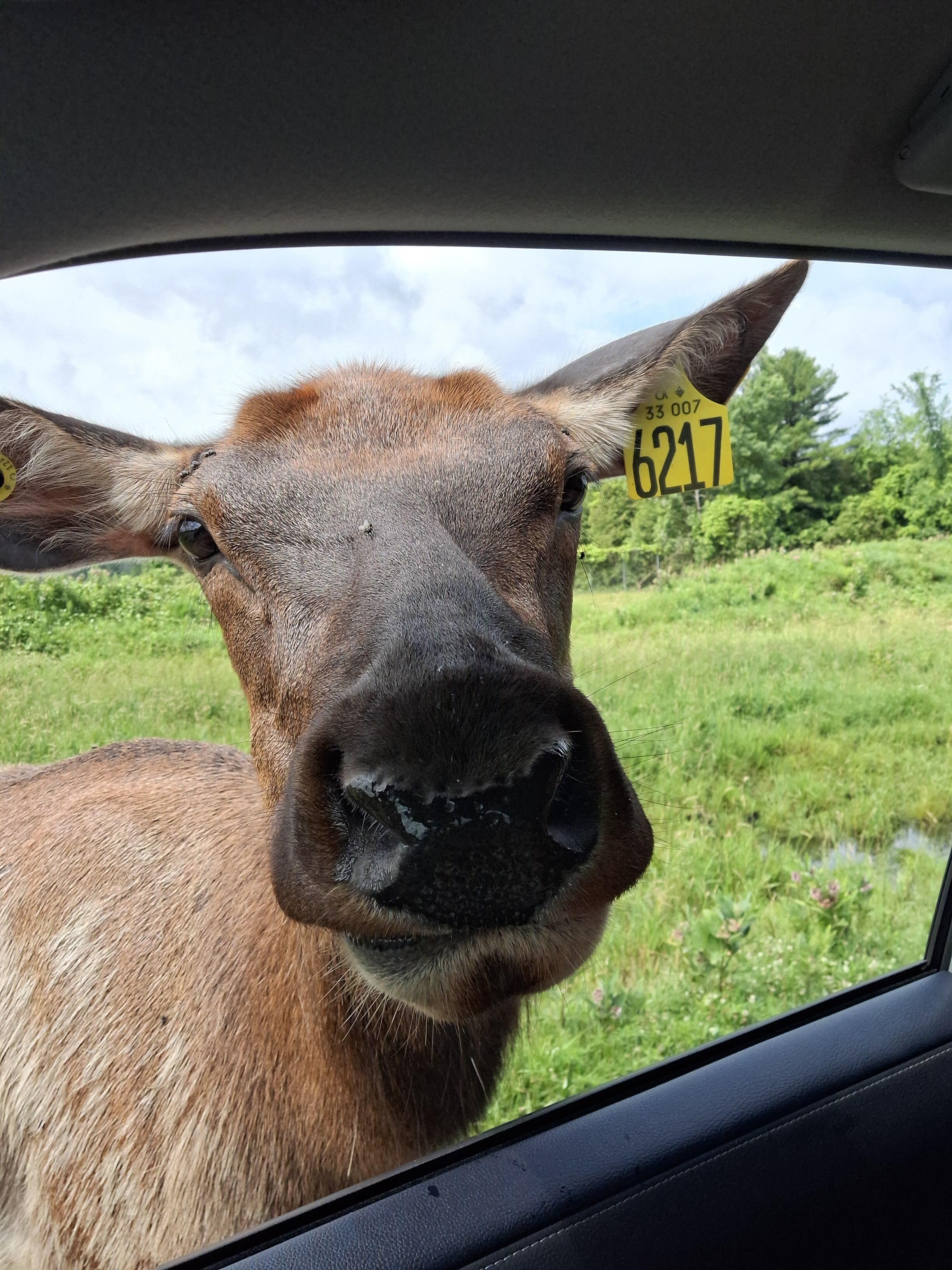 Parc Safari in Quebec