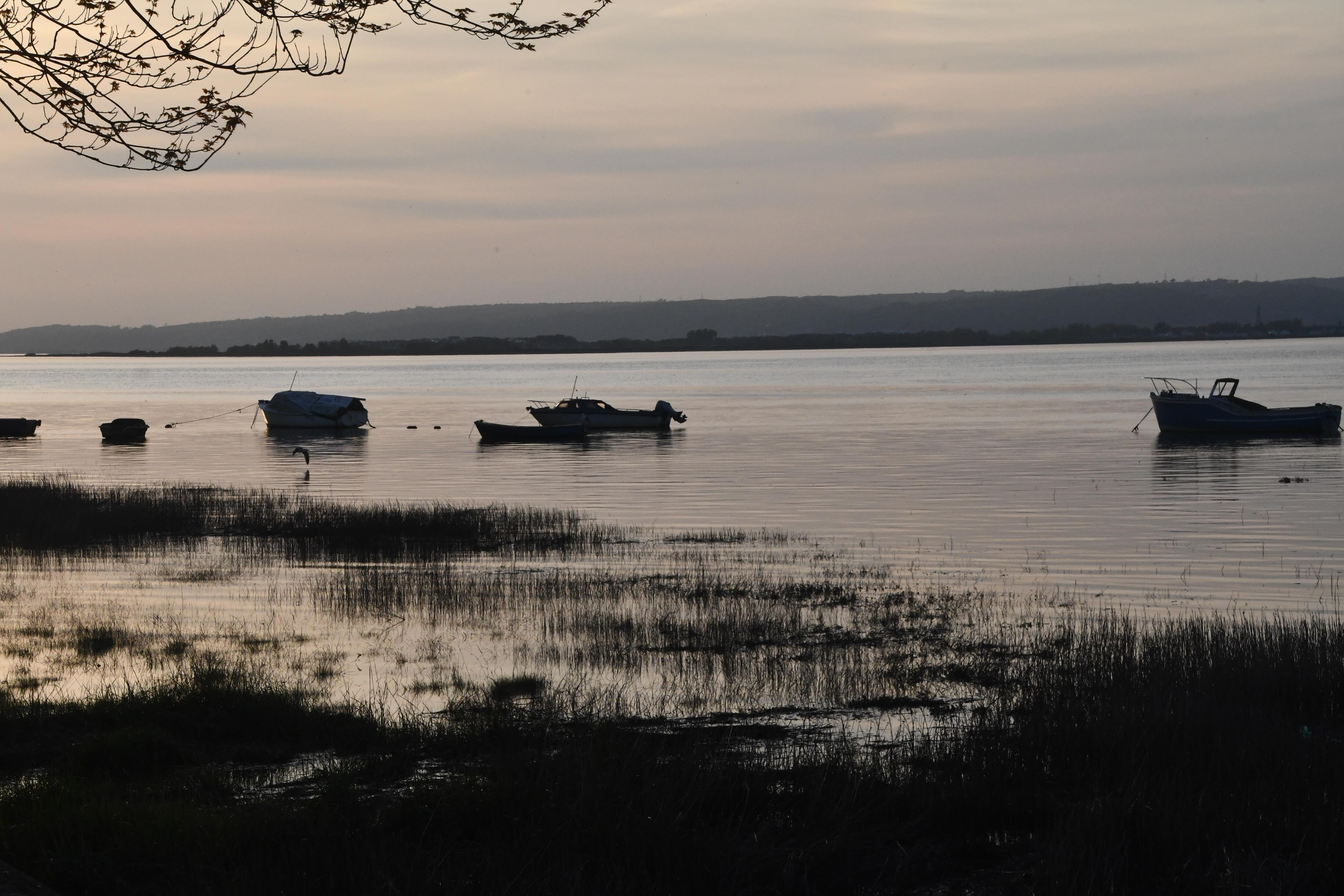 The estuary in the evening.