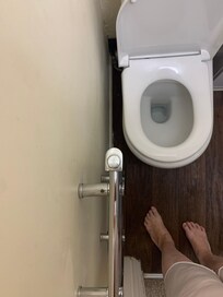 Toilet and heated towel rack.