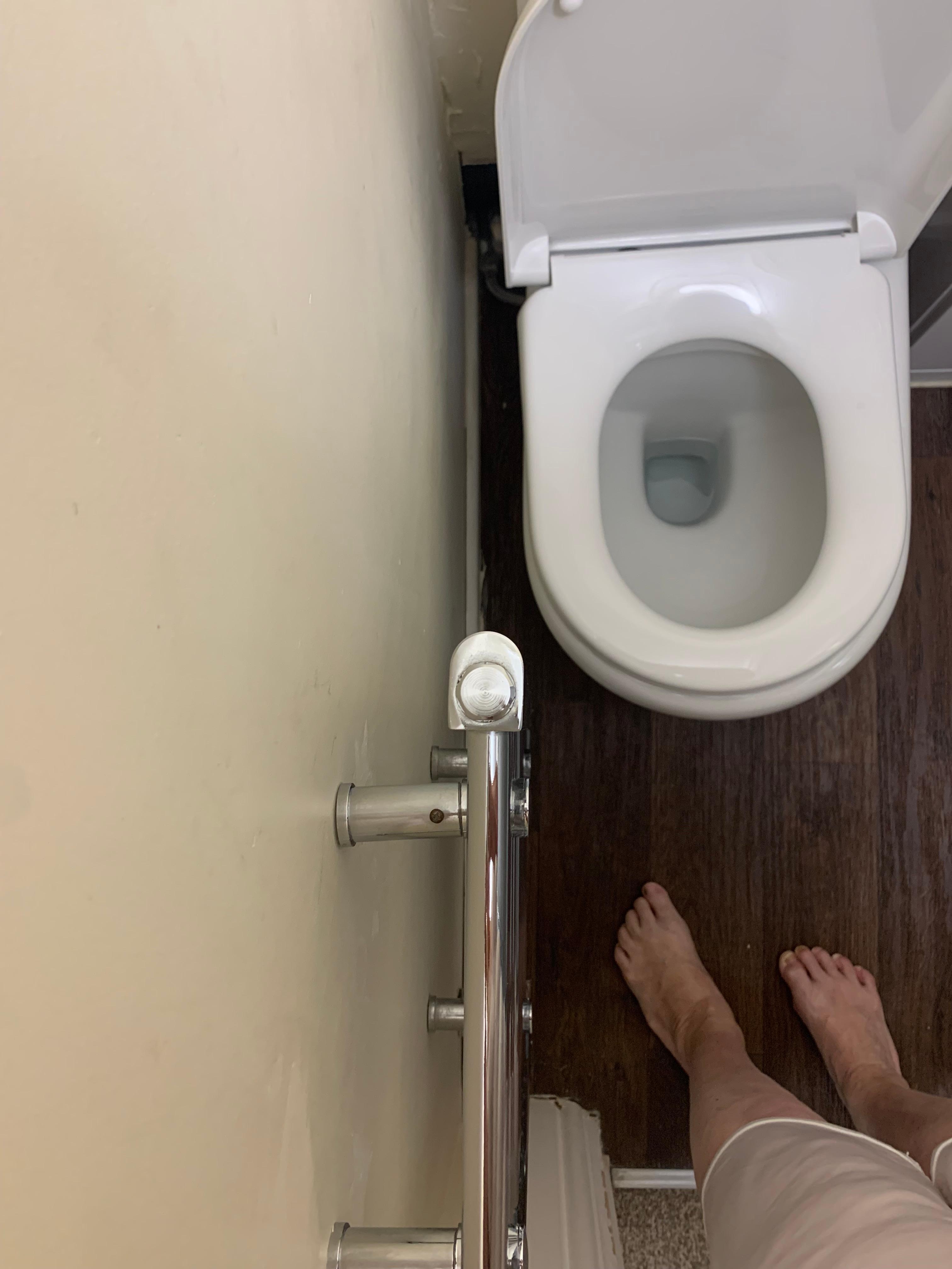 Toilet and heated towel rack.
