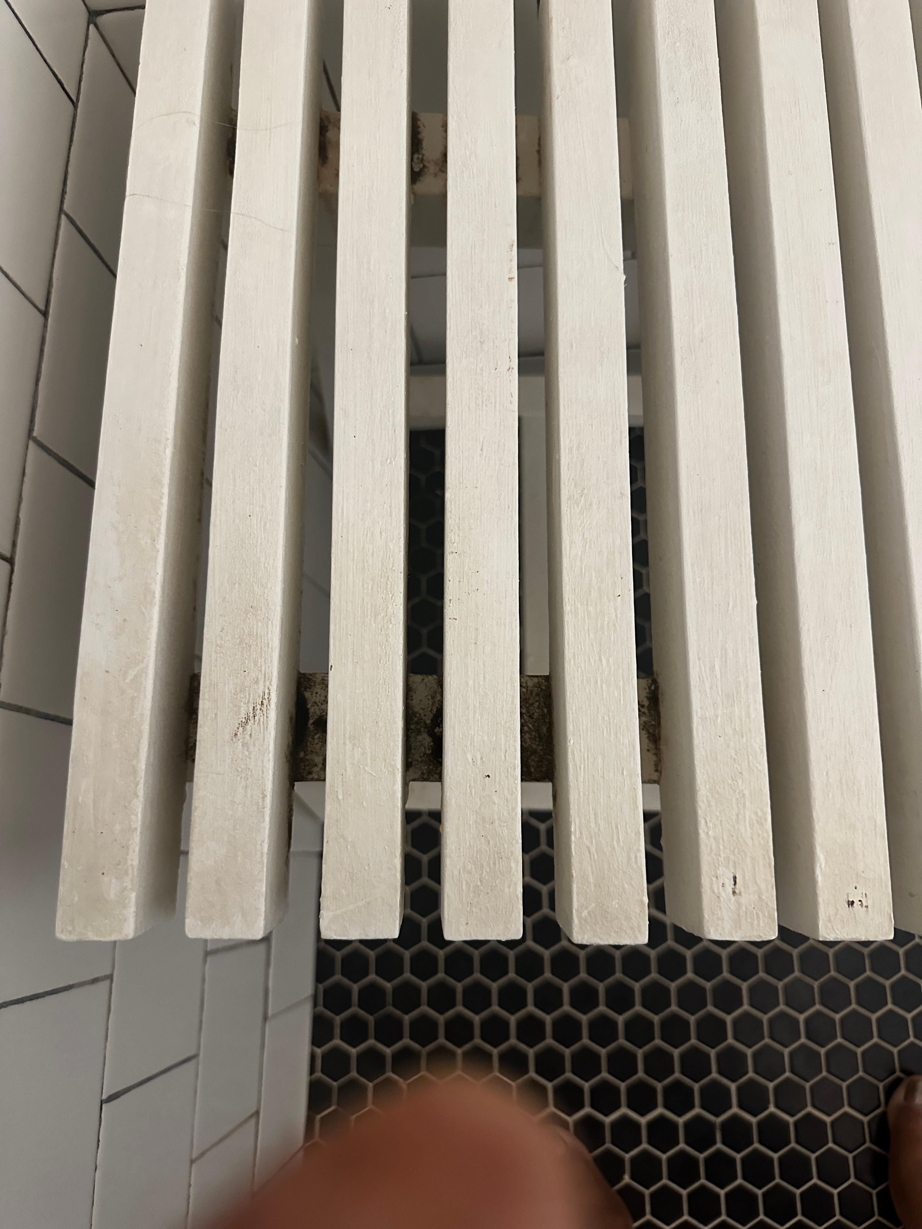 Mold in bathroom bench 
