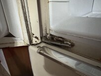 fridge mold