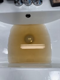 This was our water in our sink. We were told just to let it run it would get better. They were no help at all.